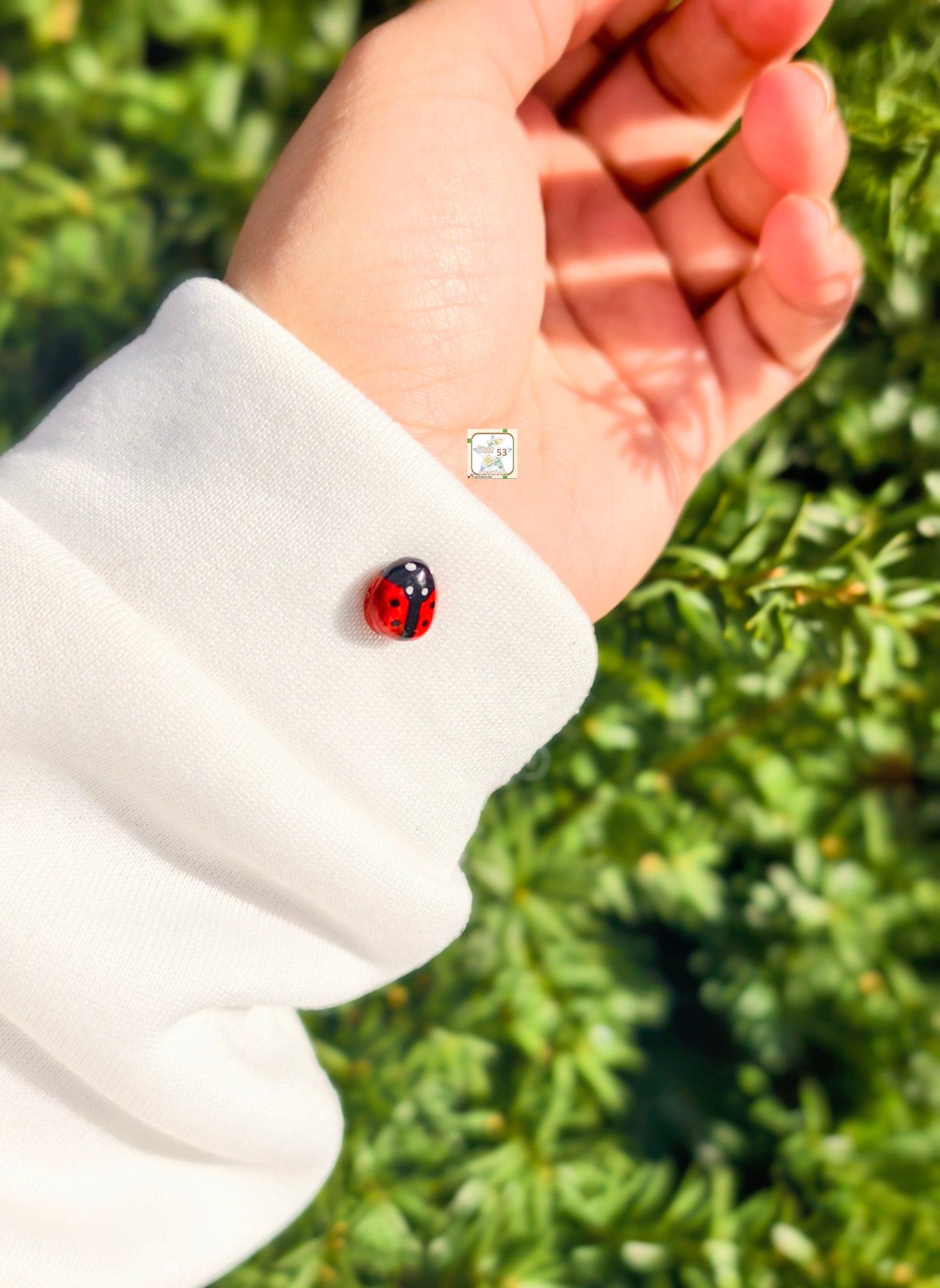 Lady bug pin, air dry clay, resin coated, durable.